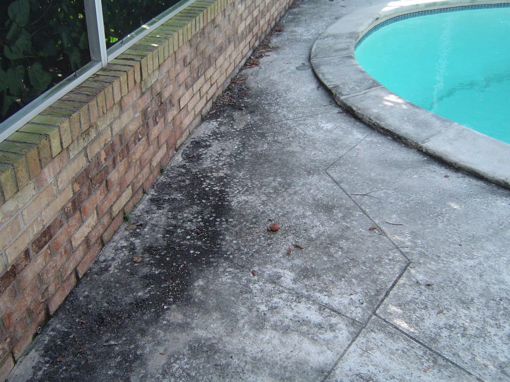 Before: Pool Deck Cleaning, St Petersburg FL